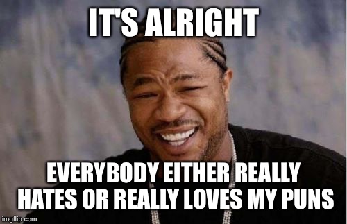 Yo Dawg Heard You Meme | IT'S ALRIGHT EVERYBODY EITHER REALLY HATES OR REALLY LOVES MY PUNS | image tagged in memes,yo dawg heard you | made w/ Imgflip meme maker