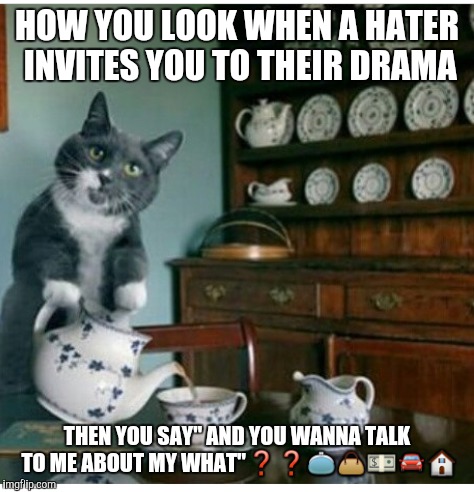 Haters | HOW YOU LOOK WHEN A HATER INVITES YOU TO THEIR DRAMA; THEN YOU SAY" AND YOU WANNA TALK TO ME ABOUT MY WHAT"❓❓👛👜💵🚘🏠 | image tagged in haters gonna hate | made w/ Imgflip meme maker
