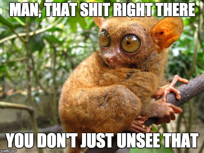 Sometimes, you don't even have to be told a thing ain't right... | MAN, THAT SHIT RIGHT THERE; YOU DON'T JUST UNSEE THAT | image tagged in scarred tarsier,wtf,unsee,can't unsee,holy shit | made w/ Imgflip meme maker