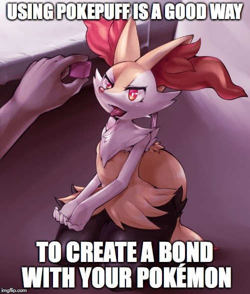 Giving Braixen a Pokepuff | USING POKEPUFF IS A GOOD WAY; TO CREATE A BOND WITH YOUR POKÉMON | image tagged in pokepuff,braixen,pokemon,memes | made w/ Imgflip meme maker