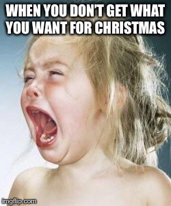 For crying out loud | WHEN YOU DON’T GET WHAT YOU WANT FOR CHRISTMAS | image tagged in for crying out loud | made w/ Imgflip meme maker