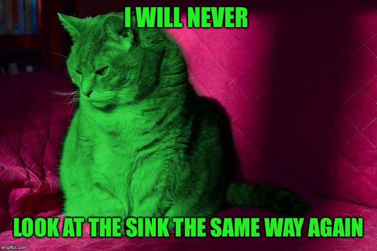Cantankerous RayCat | I WILL NEVER LOOK AT THE SINK THE SAME WAY AGAIN | image tagged in cantankerous raycat | made w/ Imgflip meme maker