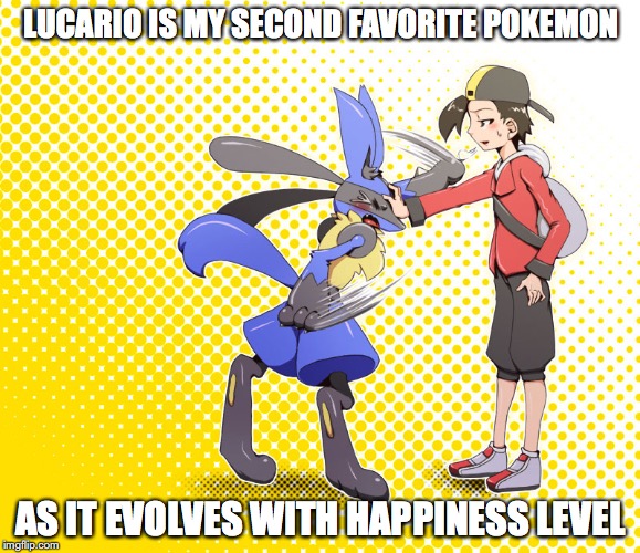 Lucario | LUCARIO IS MY SECOND FAVORITE POKEMON; AS IT EVOLVES WITH HAPPINESS LEVEL | image tagged in lucario,memes,pokemon | made w/ Imgflip meme maker