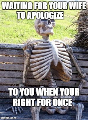 Apology | WAITING FOR YOUR WIFE TO APOLOGIZE; TO YOU WHEN YOUR RIGHT FOR ONCE | image tagged in memes,waiting skeleton | made w/ Imgflip meme maker