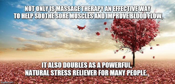 nature | NOT ONLY IS MASSAGE THERAPY AN EFFECTIVE WAY TO HELP SOOTHE SORE MUSCLES AND IMPROVE BLOOD FLOW, IT ALSO DOUBLES AS A POWERFUL,  NATURAL STRESS RELIEVER FOR MANY PEOPLE. | image tagged in nature | made w/ Imgflip meme maker