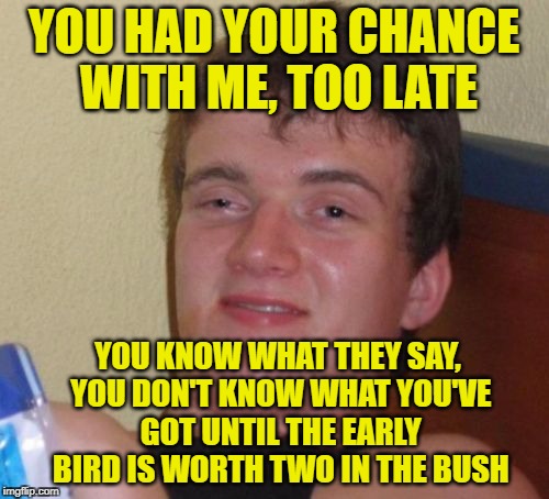 10 Guy Meme | YOU HAD YOUR CHANCE WITH ME, TOO LATE YOU KNOW WHAT THEY SAY, YOU DON'T KNOW WHAT YOU'VE GOT UNTIL THE EARLY BIRD IS WORTH TWO IN THE BUSH | image tagged in memes,10 guy | made w/ Imgflip meme maker