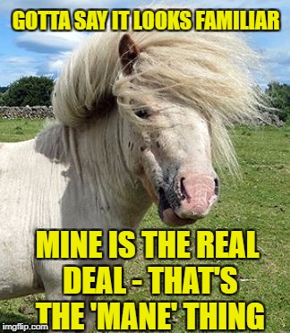 GOTTA SAY IT LOOKS FAMILIAR MINE IS THE REAL DEAL - THAT'S THE 'MANE' THING | made w/ Imgflip meme maker
