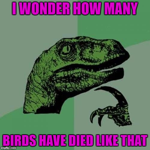 Philosoraptor Meme | I WONDER HOW MANY BIRDS HAVE DIED LIKE THAT | image tagged in memes,philosoraptor | made w/ Imgflip meme maker