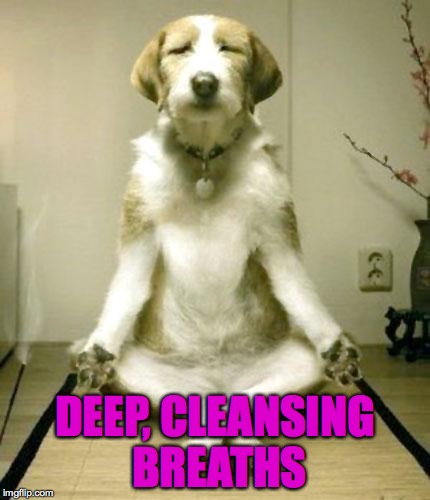 DEEP, CLEANSING BREATHS | made w/ Imgflip meme maker