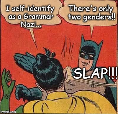 Batman is right, you know... | I self-identify as a Grammar Nazi... There's only two genders!! SLAP!!! | image tagged in memes,batman slapping robin,grammar nazi,gender identity | made w/ Imgflip meme maker