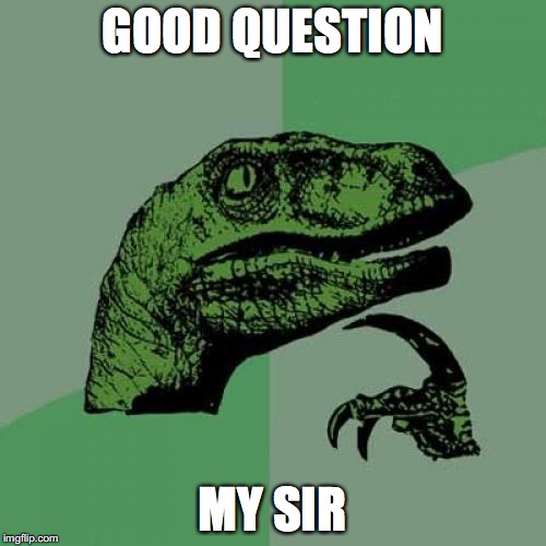Philosoraptor Meme | GOOD QUESTION MY SIR | image tagged in memes,philosoraptor | made w/ Imgflip meme maker