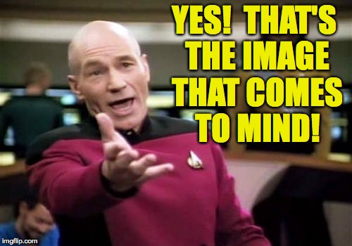 Picard Wtf Meme | YES!  THAT'S THE IMAGE THAT COMES TO MIND! | image tagged in memes,picard wtf | made w/ Imgflip meme maker