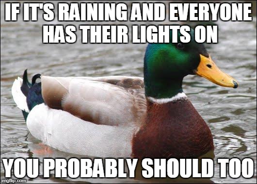 Good Advice Duck | IF IT'S RAINING AND EVERYONE HAS THEIR LIGHTS ON; YOU PROBABLY SHOULD TOO | image tagged in good advice duck | made w/ Imgflip meme maker