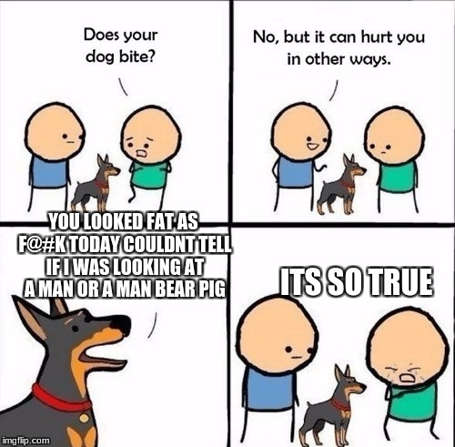 does your dog bite | YOU LOOKED FAT AS F@#K TODAY COULDNT TELL IF I WAS LOOKING AT A MAN OR A MAN BEAR PIG; ITS SO TRUE | image tagged in does your dog bite,man bear pig,meme | made w/ Imgflip meme maker