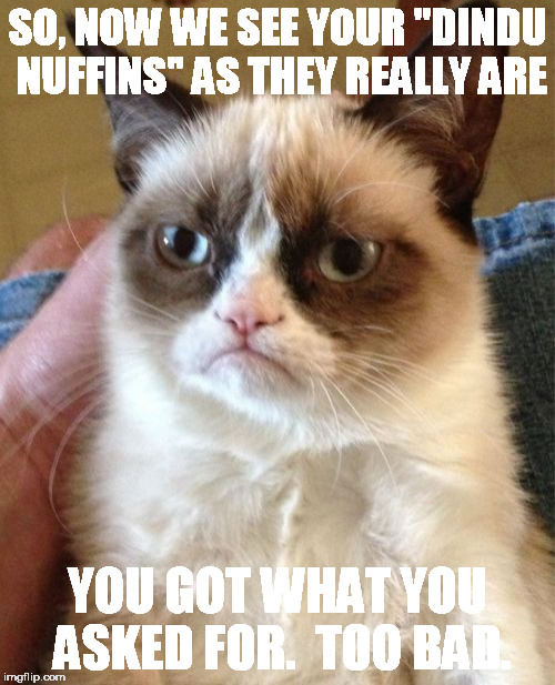 Grumpy Cat Meme | SO, NOW WE SEE YOUR "DINDU NUFFINS" AS THEY REALLY ARE; YOU GOT WHAT YOU ASKED FOR.  TOO BAD. | image tagged in memes,grumpy cat | made w/ Imgflip meme maker