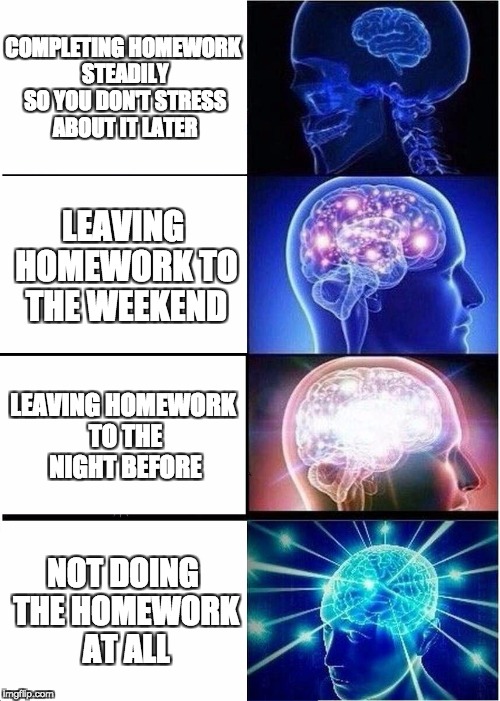 Expanding Brain Meme | COMPLETING HOMEWORK STEADILY SO YOU DON'T STRESS ABOUT IT LATER; LEAVING HOMEWORK TO THE WEEKEND; LEAVING HOMEWORK TO THE NIGHT BEFORE; NOT DOING THE HOMEWORK AT ALL | image tagged in memes,expanding brain | made w/ Imgflip meme maker