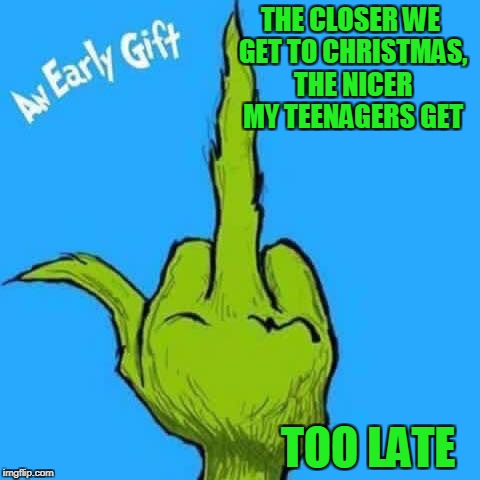 Grinch greeting | THE CLOSER WE GET TO CHRISTMAS, THE NICER MY TEENAGERS GET; TOO LATE | image tagged in grinch greeting,christmas memes,christmas shopping | made w/ Imgflip meme maker