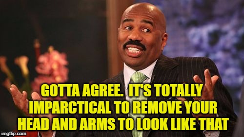 Steve Harvey Meme | GOTTA AGREE.  IT'S TOTALLY IMPARCTICAL TO REMOVE YOUR HEAD AND ARMS TO LOOK LIKE THAT | image tagged in memes,steve harvey | made w/ Imgflip meme maker