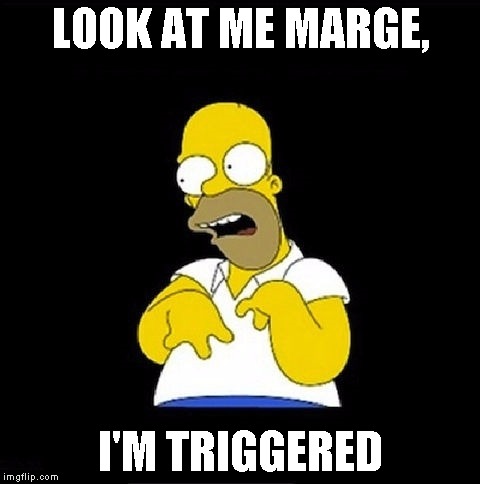 Homer Simpson Retarded | LOOK AT ME MARGE, I'M TRIGGERED | image tagged in homer simpson retarded | made w/ Imgflip meme maker