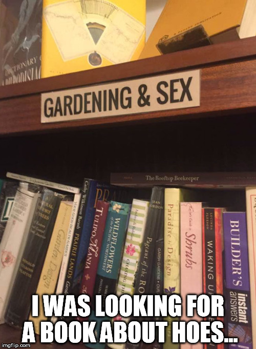 Librarian humor | I WAS LOOKING FOR A BOOK ABOUT HOES... | image tagged in books,library | made w/ Imgflip meme maker