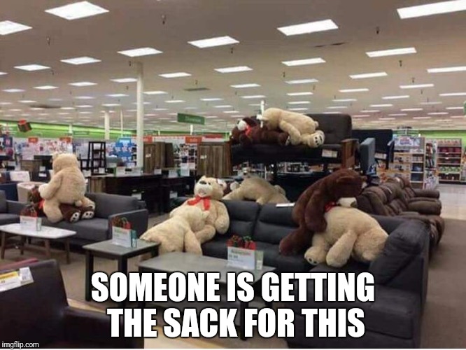 Getting the sack | SOMEONE IS GETTING THE SACK FOR THIS | image tagged in porno teddybears,getting the sack | made w/ Imgflip meme maker