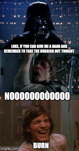 LUKE, IF YOU CAN GIVE ME A HAND AND REMEMBER TO TAKE THE RUBBISH OUT TONIGHT NOOOOOOOÒOOOO BURN | made w/ Imgflip meme maker