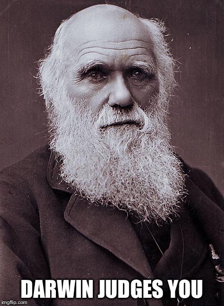 Darwin judges you | DARWIN JUDGES YOU | image tagged in darwin,award,darwin award | made w/ Imgflip meme maker