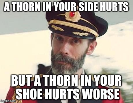 Captain Obvious | A THORN IN YOUR SIDE HURTS; BUT A THORN IN YOUR SHOE HURTS WORSE | image tagged in captain obvious | made w/ Imgflip meme maker