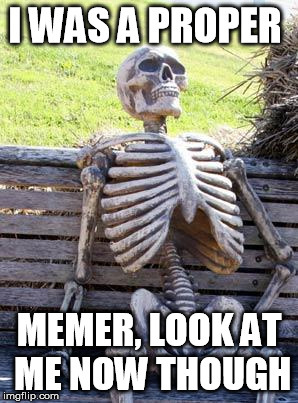 when memeing goes wrong | I WAS A PROPER; MEMER, LOOK AT ME NOW THOUGH | image tagged in memes,waiting skeleton | made w/ Imgflip meme maker