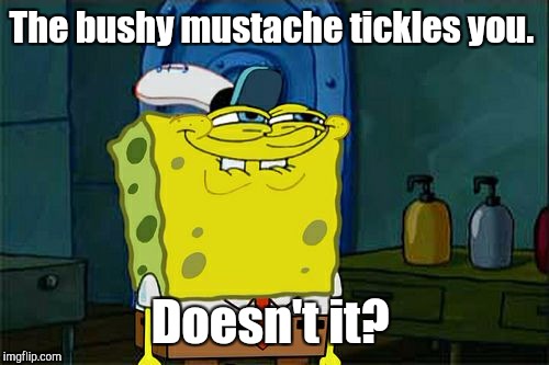 Don't You Squidward Meme | The bushy mustache tickles you. Doesn't it? | image tagged in memes,dont you squidward | made w/ Imgflip meme maker