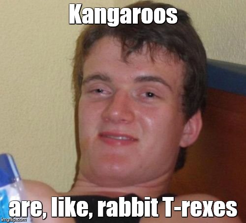 10 Guy | Kangaroos; are, like, rabbit T-rexes | image tagged in memes,10 guy | made w/ Imgflip meme maker