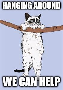 Hang in there grumpy cat | HANGING AROUND; WE CAN HELP | image tagged in hang in there grumpy cat | made w/ Imgflip meme maker