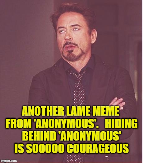 Face You Make Robert Downey Jr Meme | ANOTHER LAME MEME FROM 'ANONYMOUS'. 
 HIDING BEHIND 'ANONYMOUS' IS SOOOOO COURAGEOUS | image tagged in memes,face you make robert downey jr | made w/ Imgflip meme maker