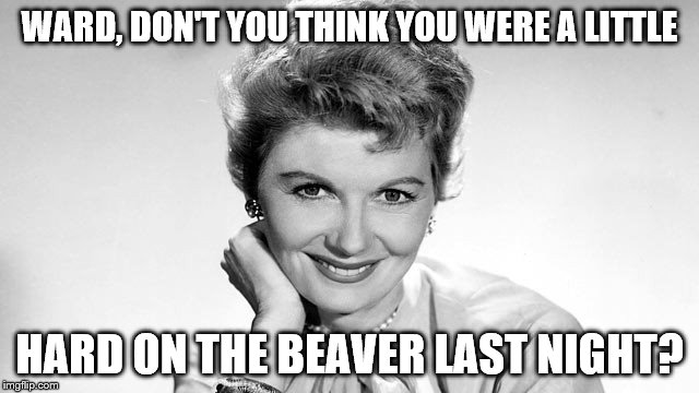 why mrs. cleaver, you're looking well this morning | WARD, DON'T YOU THINK YOU WERE A LITTLE; HARD ON THE BEAVER LAST NIGHT? | image tagged in meme,funny | made w/ Imgflip meme maker