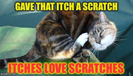 GAVE THAT ITCH A SCRATCH; ITCHES LOVE SCRATCHES | image tagged in memes,itches,scratches,love,still a better love story than twilight | made w/ Imgflip meme maker