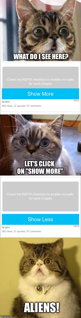 RayCat browsing NSFW Weekend memes |  WHAT DO I SEE HERE? LET'S CLICK ON "SHOW MORE"; ALIENS! | image tagged in memes,raycat,browsing,nsfw weekend | made w/ Imgflip meme maker