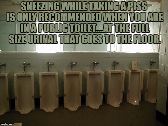 Urinals | SNEEZING WHILE TAKING A PISS IS ONLY RECOMMENDED WHEN YOU ARE IN A PUBLIC TOILET....AT THE FULL SIZE URINAL THAT GOES TO THE FLOOR. | image tagged in urinals,bathroom humor,funny,funny memes,memes | made w/ Imgflip meme maker