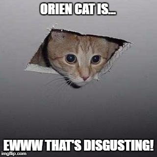 Ceiling Cat Meme | ORIEN CAT IS... EWWW THAT'S DISGUSTING! | image tagged in memes,ceiling cat | made w/ Imgflip meme maker