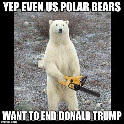 Anti Donald Trump polar bear | YEP EVEN US POLAR BEARS; WANT TO END DONALD TRUMP | image tagged in memes,bears,donald trump,chainsaw polar bear,turtles | made w/ Imgflip meme maker