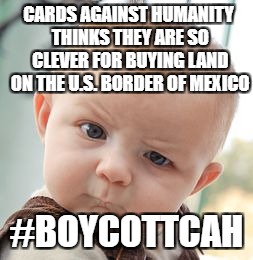 Skeptical Baby Meme | CARDS AGAINST HUMANITY THINKS THEY ARE SO CLEVER FOR BUYING LAND ON THE U.S. BORDER OF MEXICO; #BOYCOTTCAH | image tagged in memes,skeptical baby | made w/ Imgflip meme maker