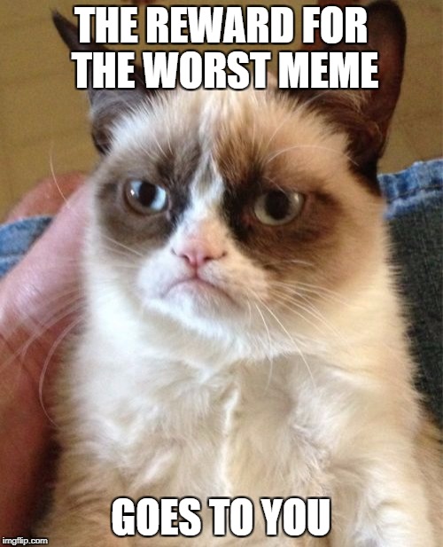 Grumpy Cat Meme | THE REWARD FOR THE WORST MEME GOES TO YOU | image tagged in memes,grumpy cat | made w/ Imgflip meme maker