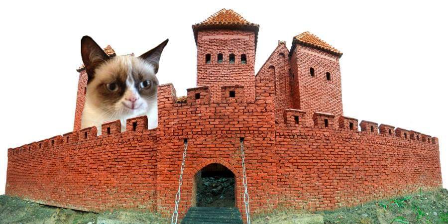 High Quality castle grumpy cat  Blank Meme Template