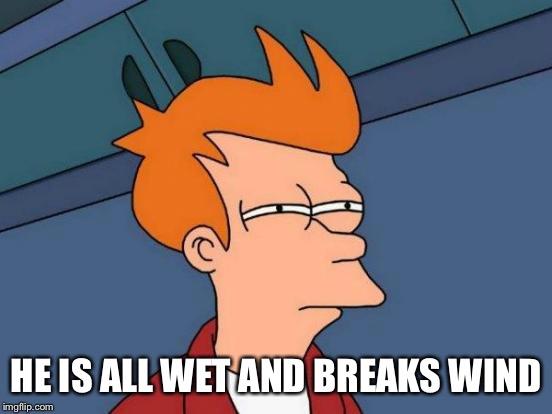 Futurama Fry Meme | HE IS ALL WET AND BREAKS WIND | image tagged in memes,futurama fry | made w/ Imgflip meme maker