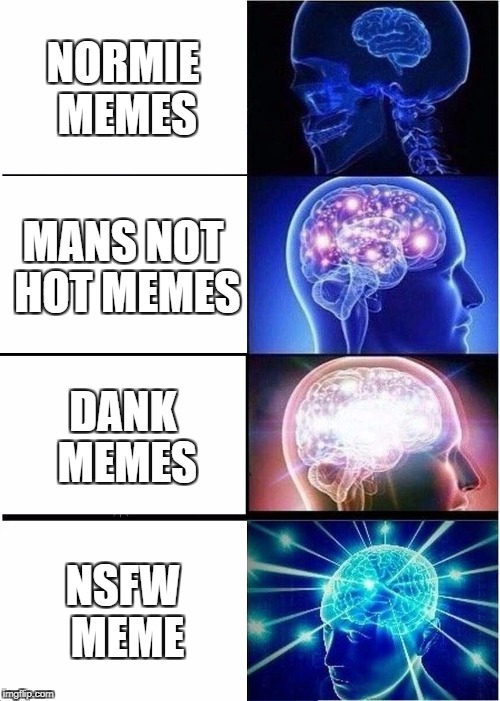 Expanding Brain Meme | NORMIE MEMES; MANS NOT HOT MEMES; DANK MEMES; NSFW MEME | image tagged in memes,expanding brain | made w/ Imgflip meme maker