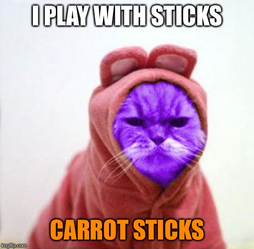 Sullen RayCat | I PLAY WITH STICKS CARROT STICKS | image tagged in sullen raycat | made w/ Imgflip meme maker