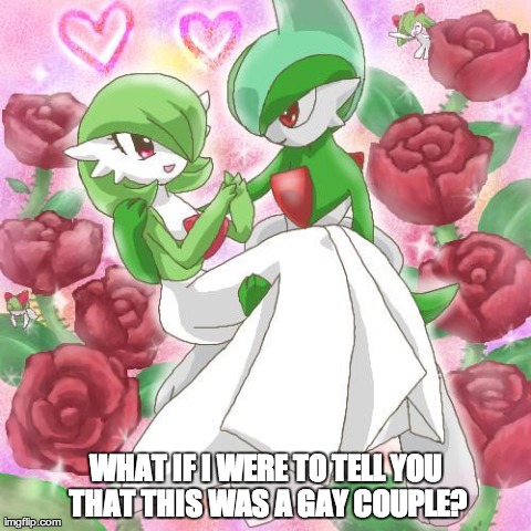 WHAT IF I WERE TO TELL YOU THAT THIS WAS A GAY COUPLE? | image tagged in coupel | made w/ Imgflip meme maker