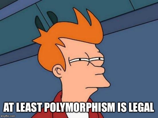 Futurama Fry Meme | AT LEAST POLYMORPHISM IS LEGAL | image tagged in memes,futurama fry | made w/ Imgflip meme maker