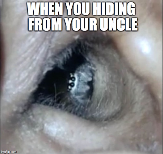 WHEN YOU HIDING FROM YOUR UNCLE | image tagged in hiding hideandgoseek spider | made w/ Imgflip meme maker