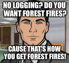 Do you want ants archer | NO LOGGING? DO YOU WANT FOREST FIRES? CAUSE THAT'S HOW YOU GET FOREST FIRES! | image tagged in do you want ants archer | made w/ Imgflip meme maker
