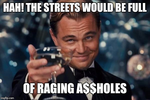 Leonardo Dicaprio Cheers Meme | HAH! THE STREETS WOULD BE FULL OF RAGING A$$HOLES | image tagged in memes,leonardo dicaprio cheers | made w/ Imgflip meme maker